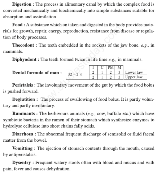 Cbse Class Biology Digestion And Absorption Assignments